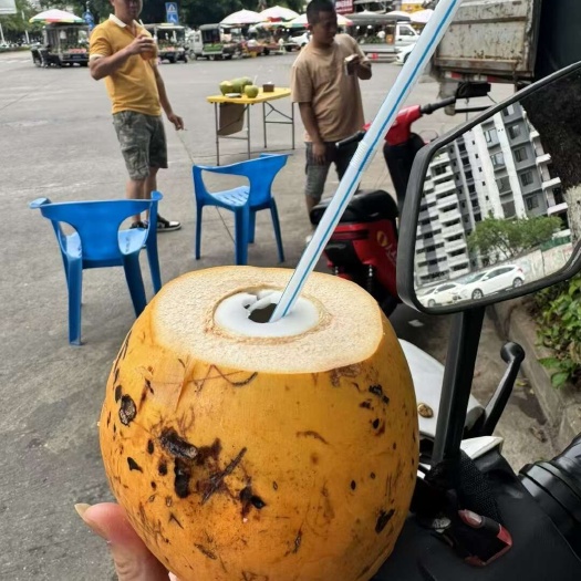 來(lái)賓新鮮椰子批發(fā)，海南貨