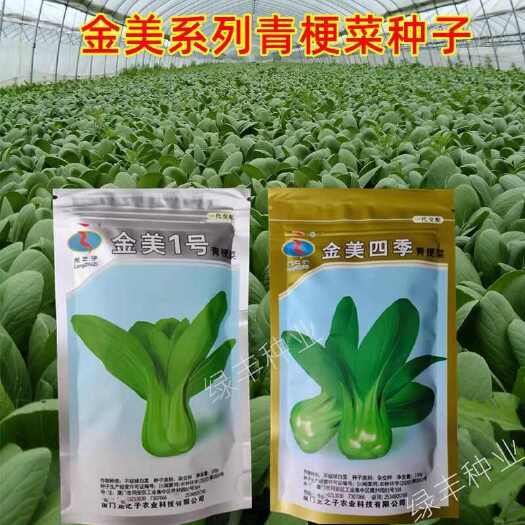 金美1号/四季青梗菜种子耐热耐湿青菜油菜种籽上海青蔬菜种子