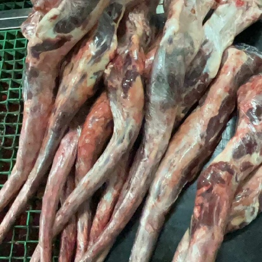 东阳市新鲜大牛尾