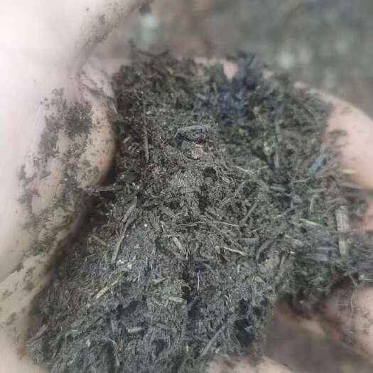 富源县松针土