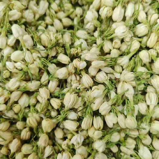 肇庆广西横县茉莉花花干解郁散装源头直供批发