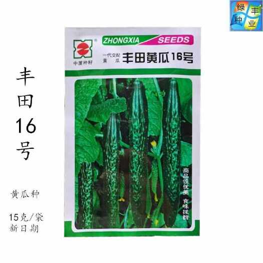 中厦丰田16号黄瓜种子耐热露地青瓜刺黄瓜良种春夏秋冬季蔬菜种