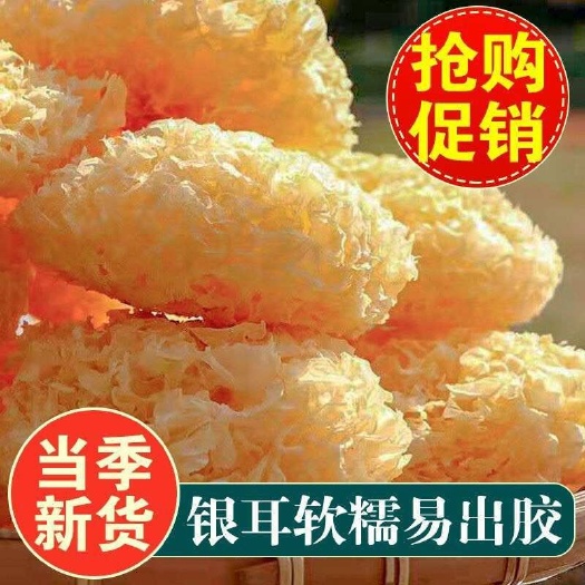 宁德大花银耳批发古田大花银耳干货农家新鲜白木耳雪耳软糯多胶202