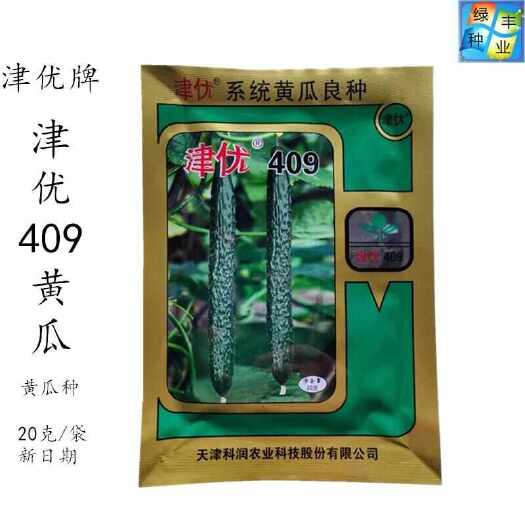 三明津优409黄瓜种子 油亮型黄瓜 刺瓜 青瓜 科润 春夏秋季蔬