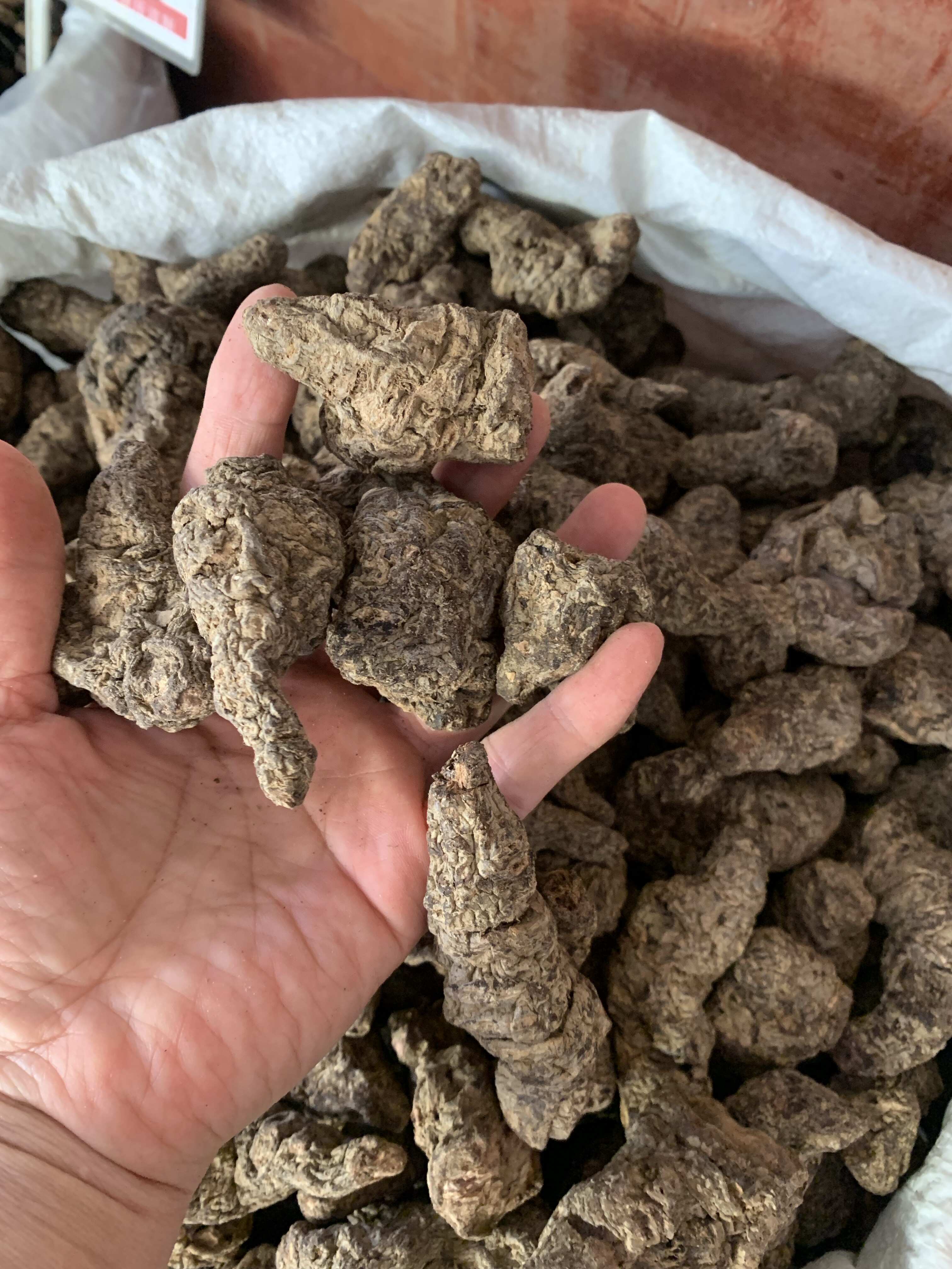 玉林中药材批发  河南焦作怀地黄  量大从优
