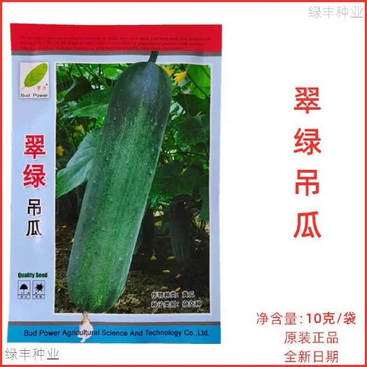 翠绿吊瓜种子水果黄瓜 青瓜大吊瓜 旱瓜基地种植春夏秋季蔬菜种