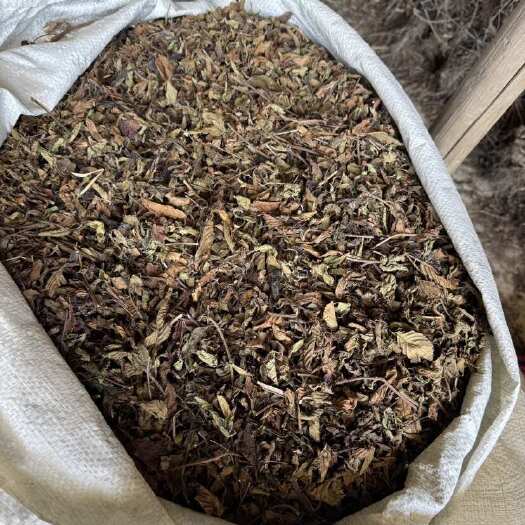 龙岩仙草