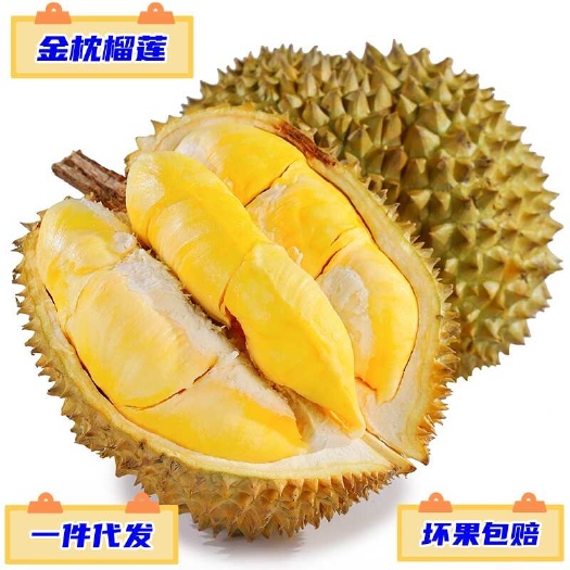 昆明一件代发 泰国金枕头榴莲供应各大电商平台当季热带水果现摘现发