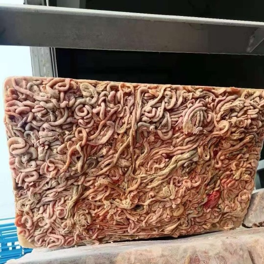 纯干无水鸡肠大量现货养鱼饲料