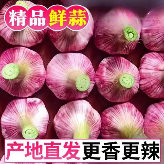 莘县电商一件代发大蒜