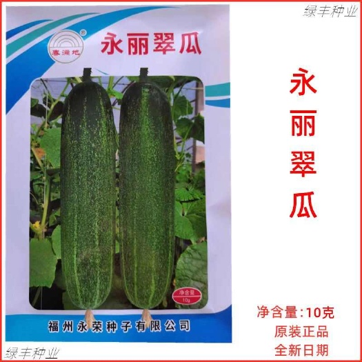 永丽翠瓜早生黄瓜吊瓜种子秋瓜旱瓜水果黄瓜春夏秋蔬菜种孑