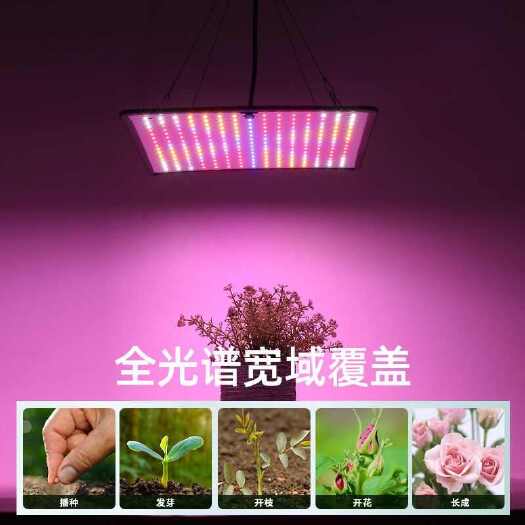 中山市全光谱吊挂式植物补光灯量子板1000W植物生长灯大鹏种植增产