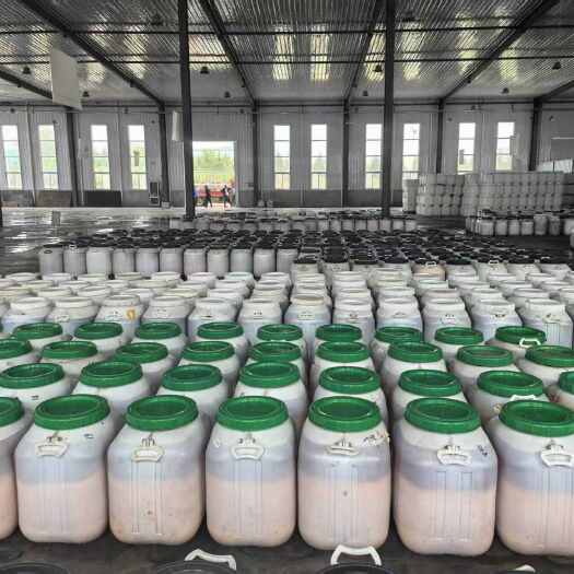 千阳县大量洋槐蜜