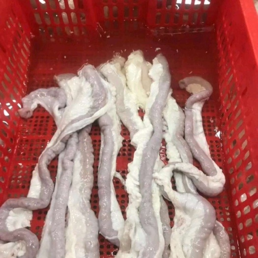广州大油小肠头