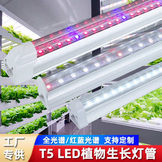 室内组培育苗垂直农业层架种植水培蔬菜生长补光全光谱t5植物灯