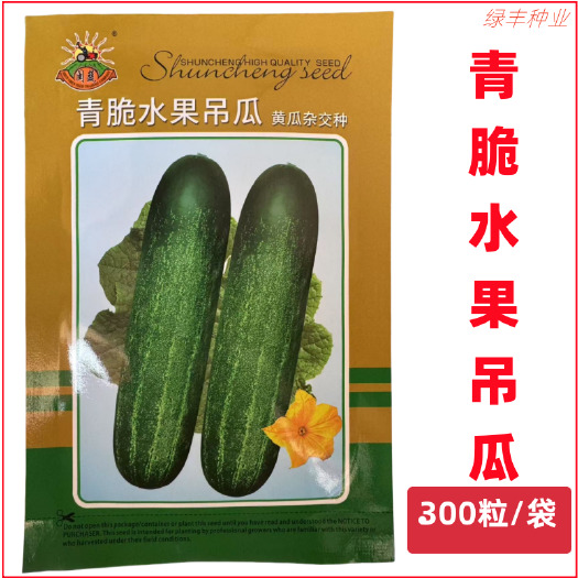 三明闽蔬青脆水果吊瓜种子秋黄瓜大吊瓜泰系水果吊瓜春夏秋季黄瓜种孑