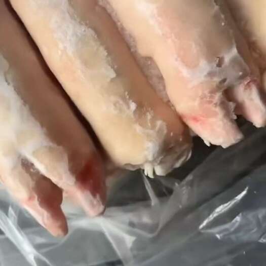 沂南县母猪蹄一级