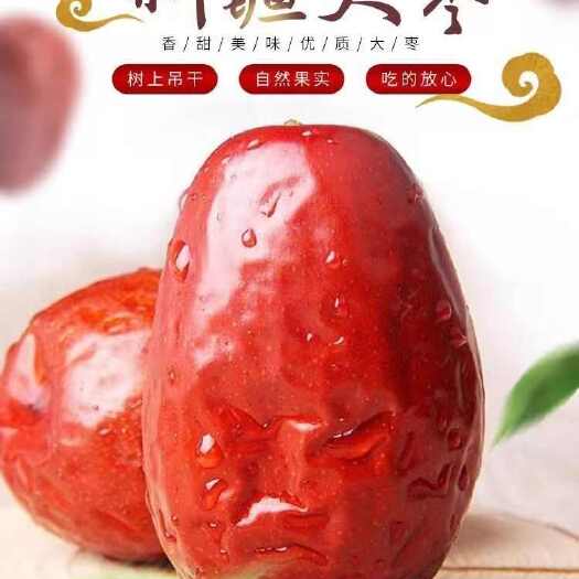 乐陵市新疆红枣  合格品 精品礼盒装和田大枣厂家批发