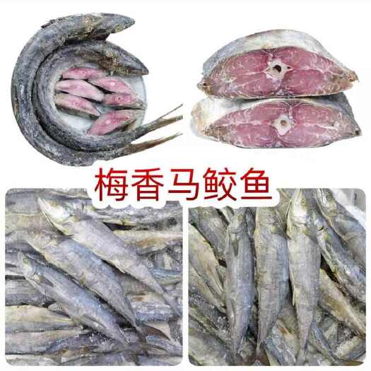 佛山梅香咸鱼马鲛鱼 地摊电商批发梅香马鲛鱼干酶香马胶马友鱼干干鱼