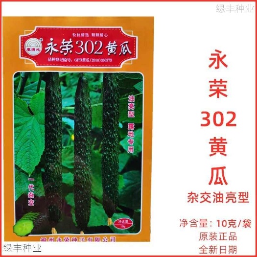 永荣302黄瓜种子油亮型刺瓜肉绿耐热耐湿抗病强春夏秋季蔬菜种