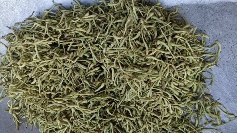 鄄城县金银花价格优惠