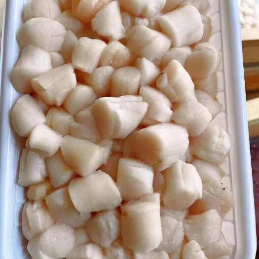 漳州福建漳州优质干贝水产加工批发供货