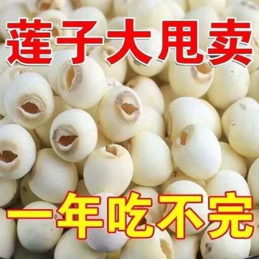 湘潭莲子批发2025年新莲子去芯莲子散装白莲子