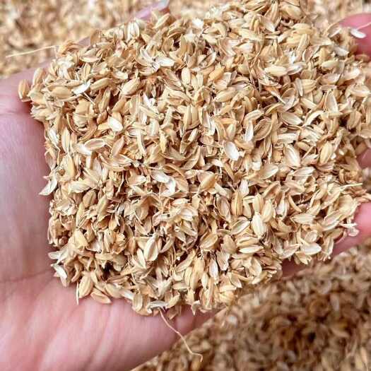 宜兴市江苏地区 压缩稻壳优质稻壳 新鲜干净 养殖垫料 生物燃料
