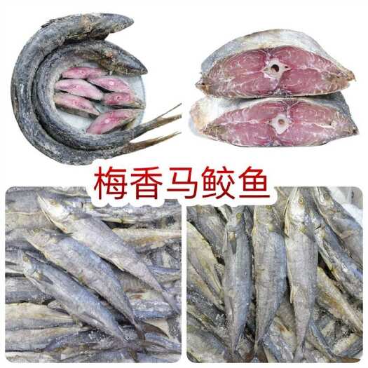 佛山梅香咸鱼马鲛鱼 地摊电商批发梅香马鲛鱼干酶香马胶马友鱼干干鱼