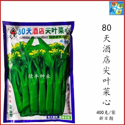 实诚80天酒店尖叶菜心油菜纯度高颜色深绿口感好 菜场基地种植