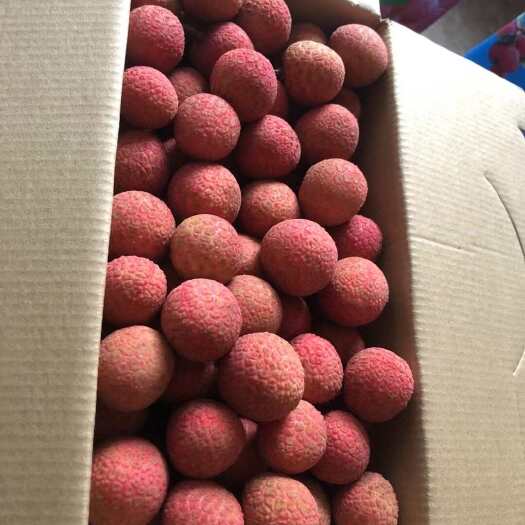 高州市广东高州根子荔枝产地直发，专门代发送礼，精品装。
