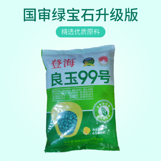 故城县登海良玉99玉米种国审红轴