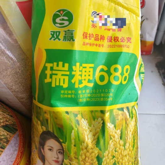 瑞粳688水稻种子 中粳常规水稻品种  亩用种量30到40斤