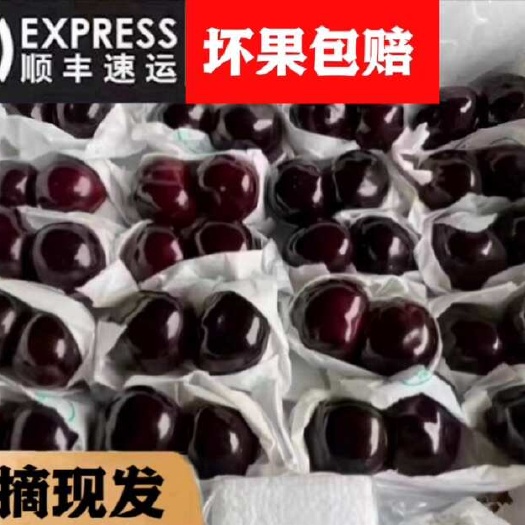 汉源县汉源套袋黑珍珠车厘子4j