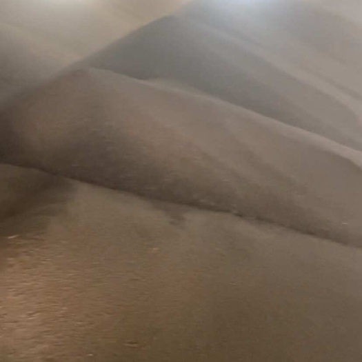 周口出售2024年普麦4000吨