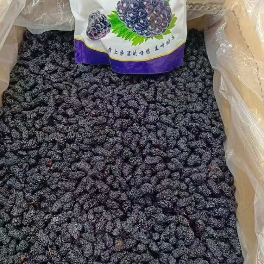 昆明桑椹干  优选桑椹干  支持一件代发货  桑椹干果 大货供应