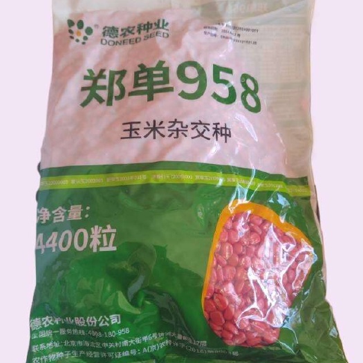故城县北京德农郑单958玉米种子