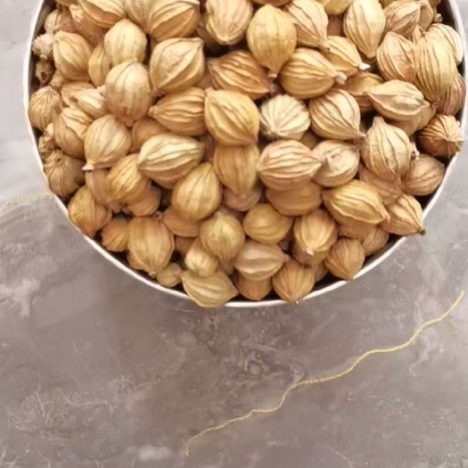 香砂仁  原产地一手货源。清香扑鼻，香味浓重。
炖汤味