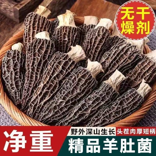 宁德【无干燥剂发货】新鲜羊肚菌干货批发云南特产头茬羊肚菌菇煲炖汤