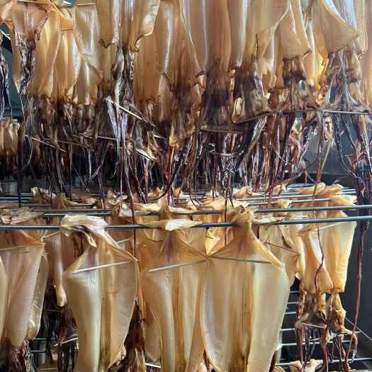 贵阳淡干带头无头鱿鱼7-9个/公斤，大量现货供应链。