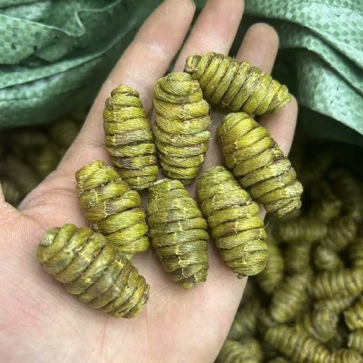 昆明云南西双版纳铁皮石斛 干条鲜条枫斗代打粉 昆明发货