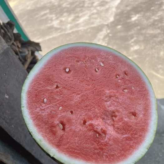 洞口县洞口大棚麒麟瓜 开园大放价 品质拉满 怎么卖都是顶配