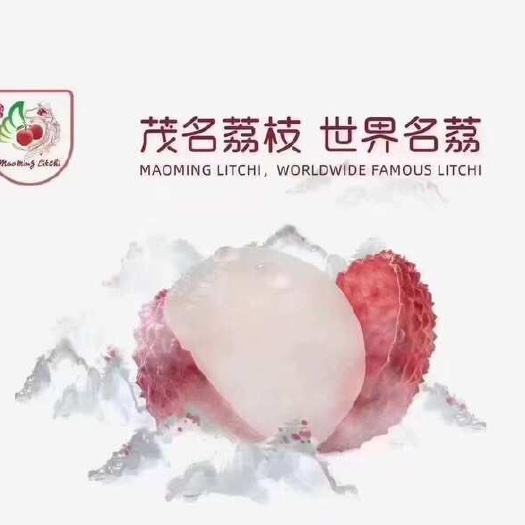 高州市广东茂名高州白糖罂荔枝新鲜现摘现发果大核小肉厚汁多甜如蜜