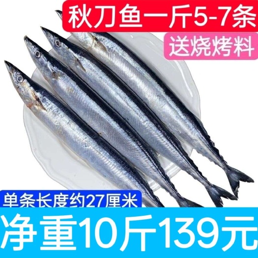 秋刀鱼新鲜冷冻商用小号日式料理烧烤海鲜水产鲜活深海鱼10斤装