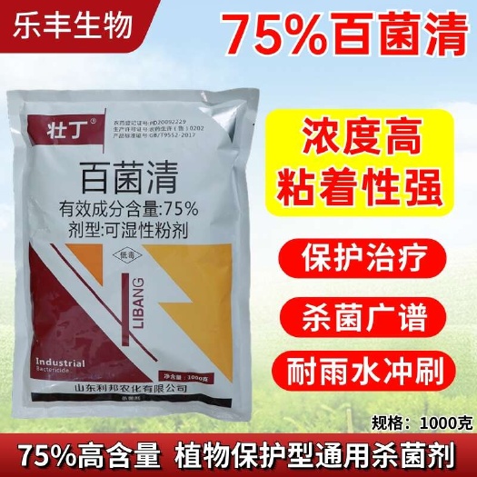 潍坊75%百菌清 葡萄霜霉病黄瓜水稻小麦玉米农药杀菌