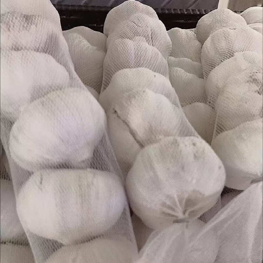 江苏邳州精品大蒜