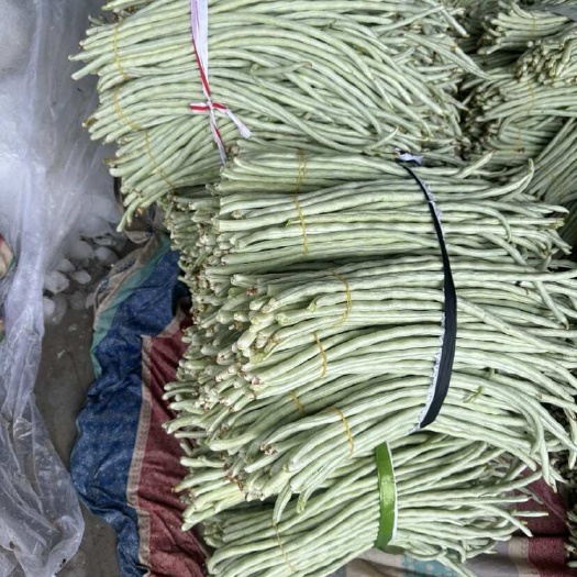 白条豆角，后半年都是豆角。质量很重要。