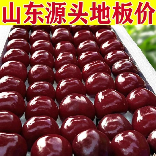 山东大樱桃一件代发美早，先锋，红灯对接抖音。快手视频号等直播