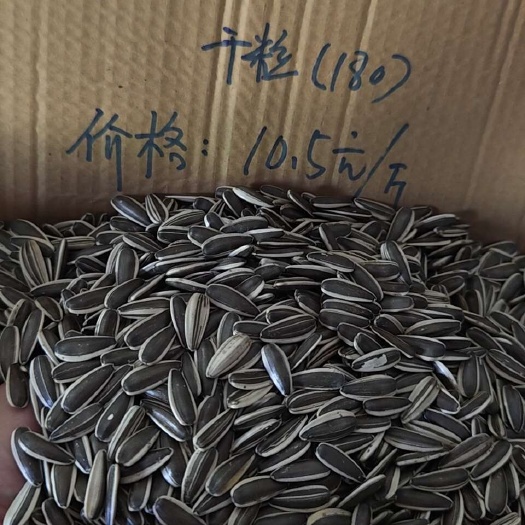 大厂县赤峰363超大千粒180灰版皮毛好无内霉