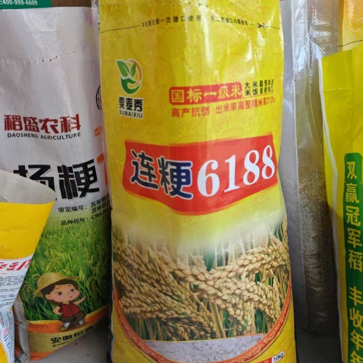 连粳6188水稻种子 中熟中粳品种全生育期142天左右